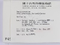 韌革菌屬藏品圖，第2張