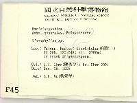 登錄號:F0004537藏品圖，第2張