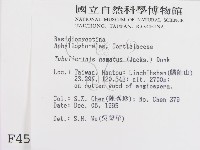 登錄號:F0004538藏品圖，第2張