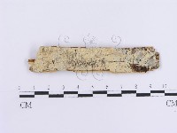 登錄號:F0004538藏品圖，第1張