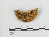 登錄號:F0004539藏品圖，第1張