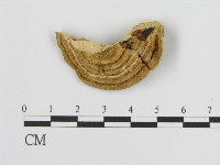 登錄號:F0004539藏品圖，第3張