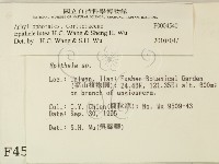 登錄號:F0004540藏品圖，第2張