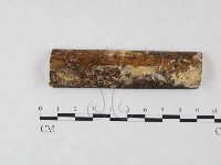 登錄號:F0004540藏品圖，第1張