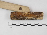 登錄號:F0004540藏品圖，第3張