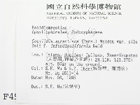 登錄號:F0004541藏品圖，第2張