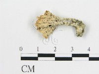 登錄號:F0004541藏品圖，第3張