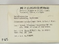 登錄號:F0004542藏品圖，第2張
