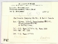 登錄號:F0004543藏品圖，第2張
