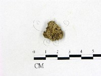 登錄號:F0004543藏品圖，第1張