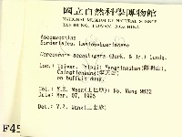 登錄號:F0004544藏品圖，第2張