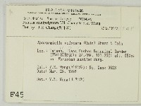 登錄號:F0004545藏品圖，第2張