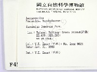 登錄號:F0004546藏品圖，第2張