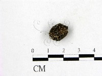 登錄號:F0004547藏品圖，第1張