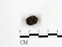 登錄號:F0004547藏品圖，第3張