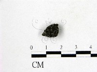 登錄號:F0004548藏品圖，第1張