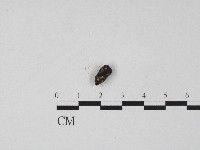 登錄號:F0004550藏品圖，第1張