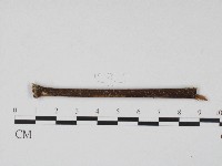 登錄號:F0004551藏品圖，第3張