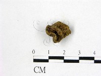 登錄號:F0004552藏品圖，第1張