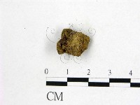登錄號:F0004552藏品圖，第3張