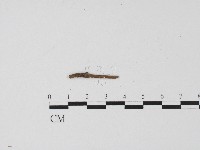 登錄號:F0004556藏品圖，第3張