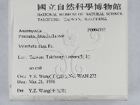 登錄號:F0004560藏品圖，第2張