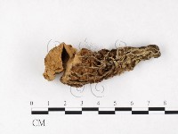 登錄號:F0004560藏品圖，第3張