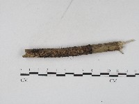 登錄號:F0004561藏品圖，第1張