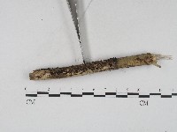 登錄號:F0004561藏品圖，第4張