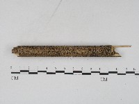 登錄號:F0004562藏品圖，第1張