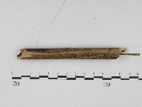 登錄號:F0004562藏品圖，第3張