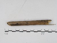 登錄號:F0004562藏品圖，第4張