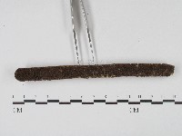 登錄號:F0004565藏品圖，第3張