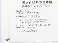 登錄號:F0004566藏品圖，第2張