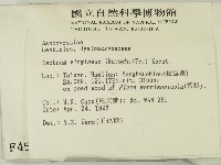 登錄號:F0004568藏品圖，第2張