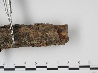 登錄號:F0004568藏品圖，第4張