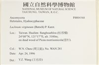 登錄號:F0004568藏品圖，第7張