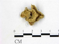 登錄號:F0004570藏品圖，第1張