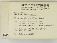 登錄號:F0004571藏品圖，第2張