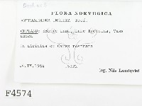 登錄號:F0004574藏品圖，第2張