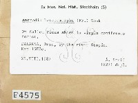 登錄號:F0004575藏品圖，第2張