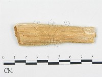 登錄號:F0004576藏品圖，第3張