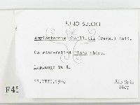 登錄號:F0004577藏品圖，第2張