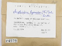 登錄號:F0004578藏品圖，第2張