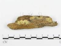 登錄號:F0004578藏品圖，第1張