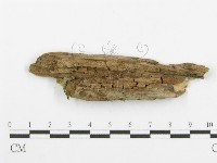 登錄號:F0004578藏品圖，第3張