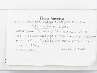 登錄號:F0004579藏品圖，第2張