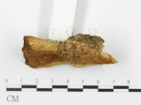 登錄號:F0004579藏品圖，第3張