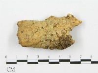 登錄號:F0004579藏品圖，第4張