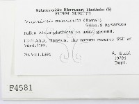 登錄號:F0004581藏品圖，第2張